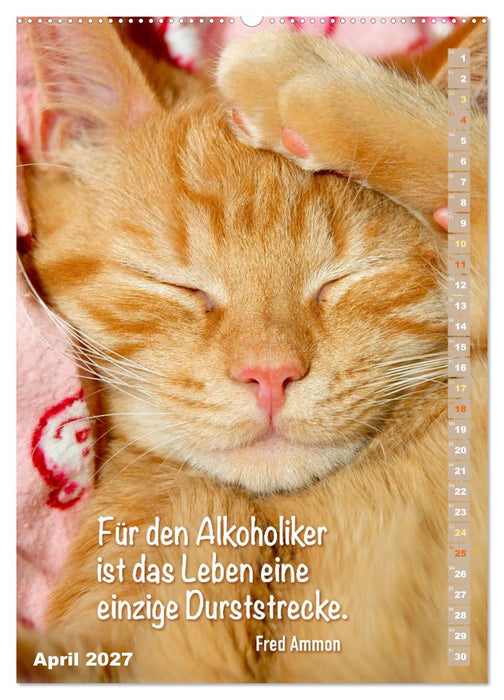 Der literarische Katerkalender (CALVENDO Wandkalender 2027)