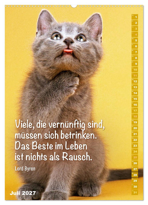 Der literarische Katerkalender (CALVENDO Premium Wandkalender 2027)