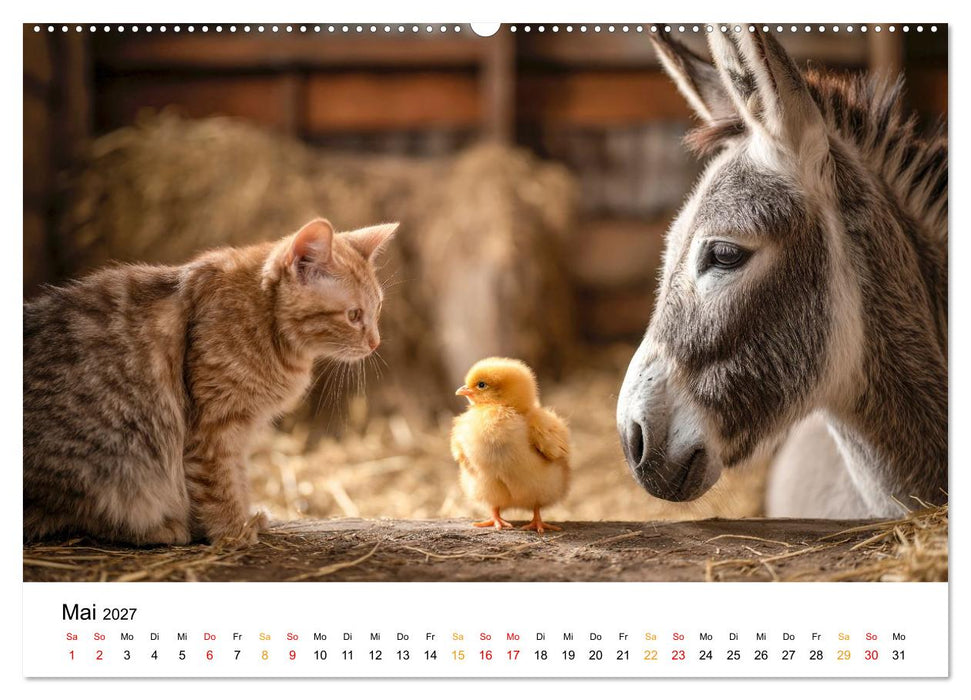 Beste Freunde - ein tierisch buntes Miteinander (CALVENDO Wandkalender 2027)