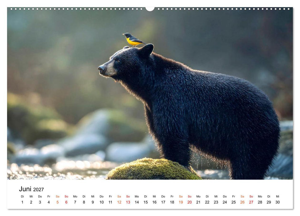 Beste Freunde - ein tierisch buntes Miteinander (CALVENDO Wandkalender 2027)