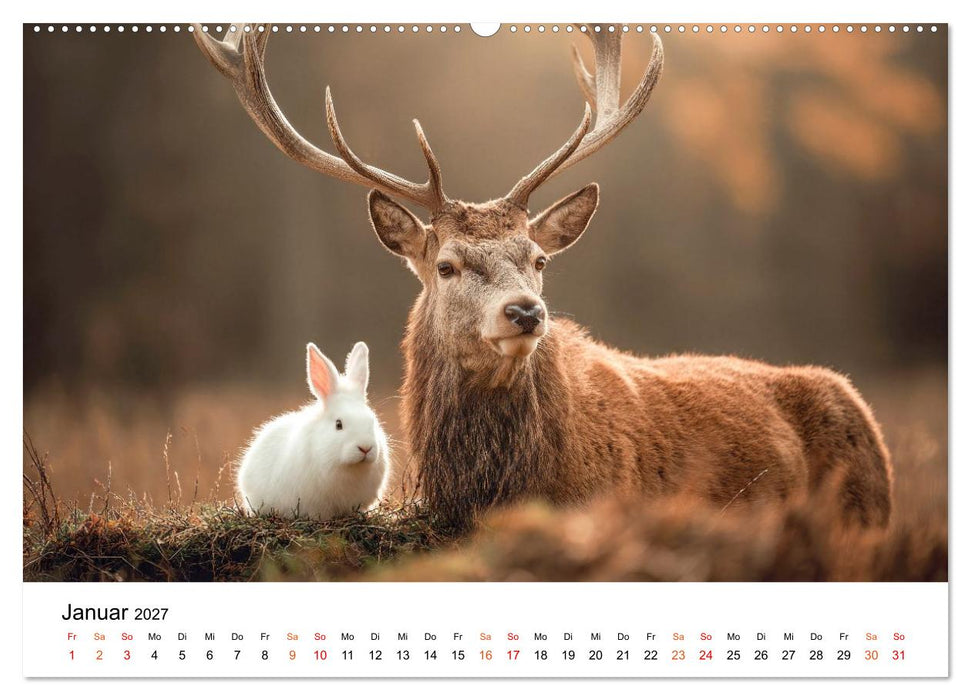 Beste Freunde - ein tierisch buntes Miteinander (CALVENDO Premium Wandkalender 2027)