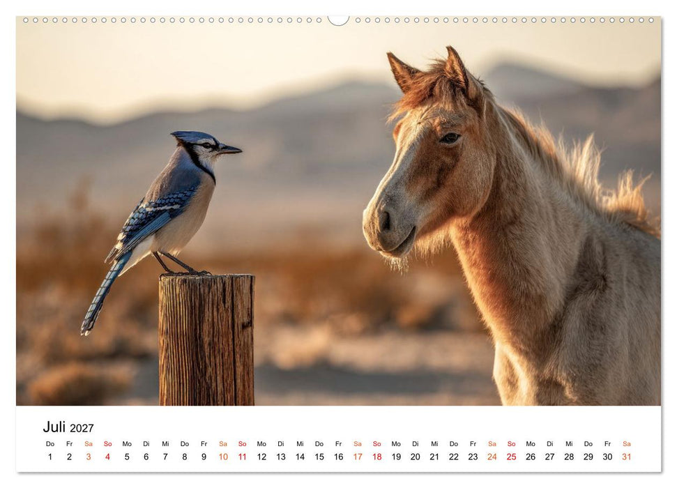 Beste Freunde - ein tierisch buntes Miteinander (CALVENDO Premium Wandkalender 2027)