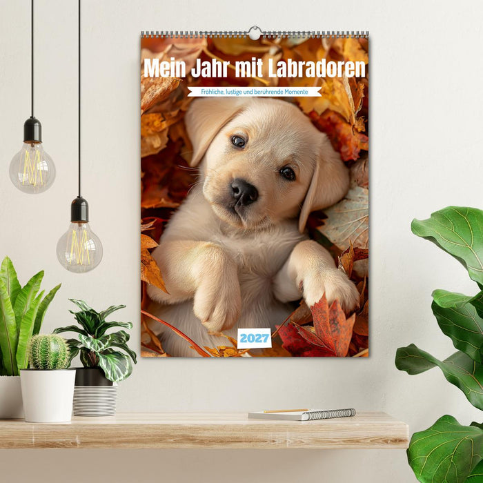 Mein Jahr mit Labradoren (CALVENDO Wandkalender 2027)