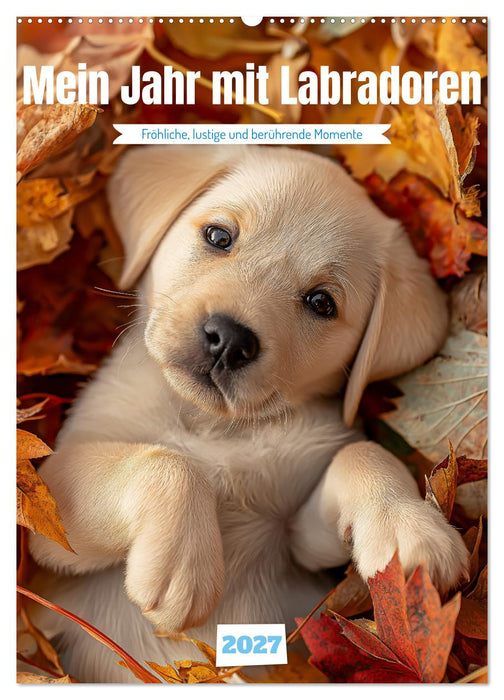 Mein Jahr mit Labradoren (CALVENDO Wandkalender 2027)