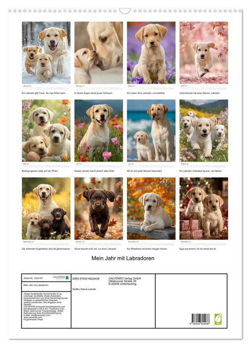 Mein Jahr mit Labradoren (CALVENDO Wandkalender 2027)