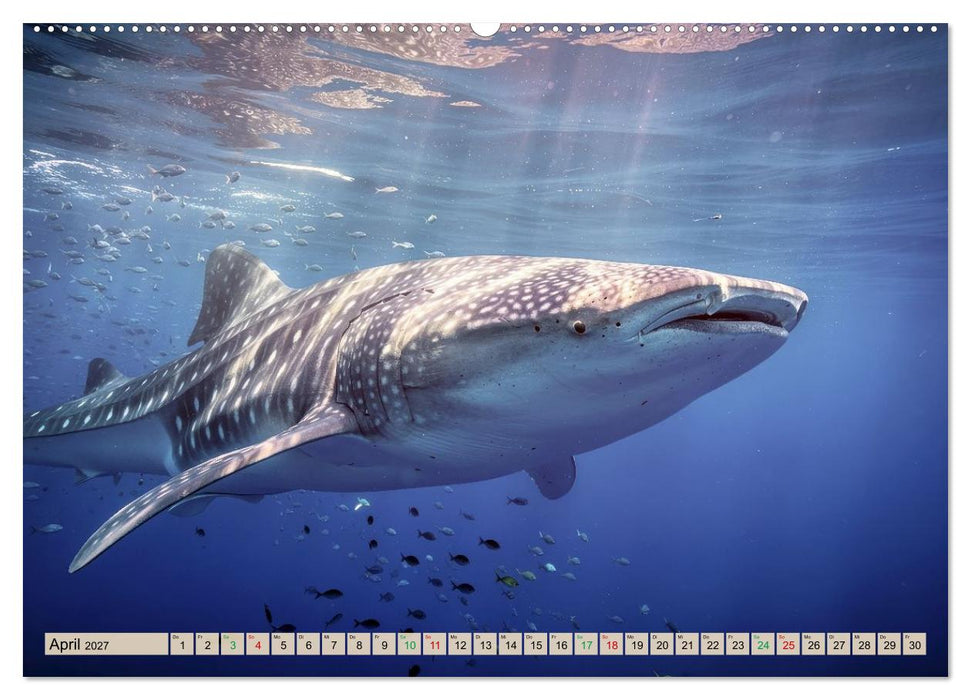 Großtiere - Weltweit (CALVENDO Premium Wandkalender 2027)