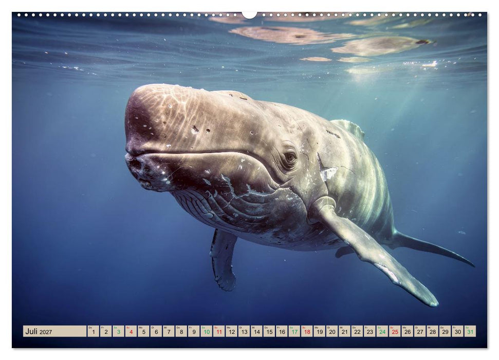 Großtiere - Weltweit (CALVENDO Premium Wandkalender 2027)
