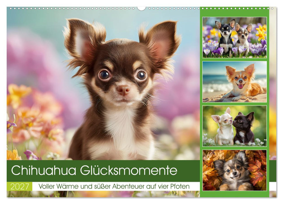 Chihuahua Glücksmomente (CALVENDO Wandkalender 2027)