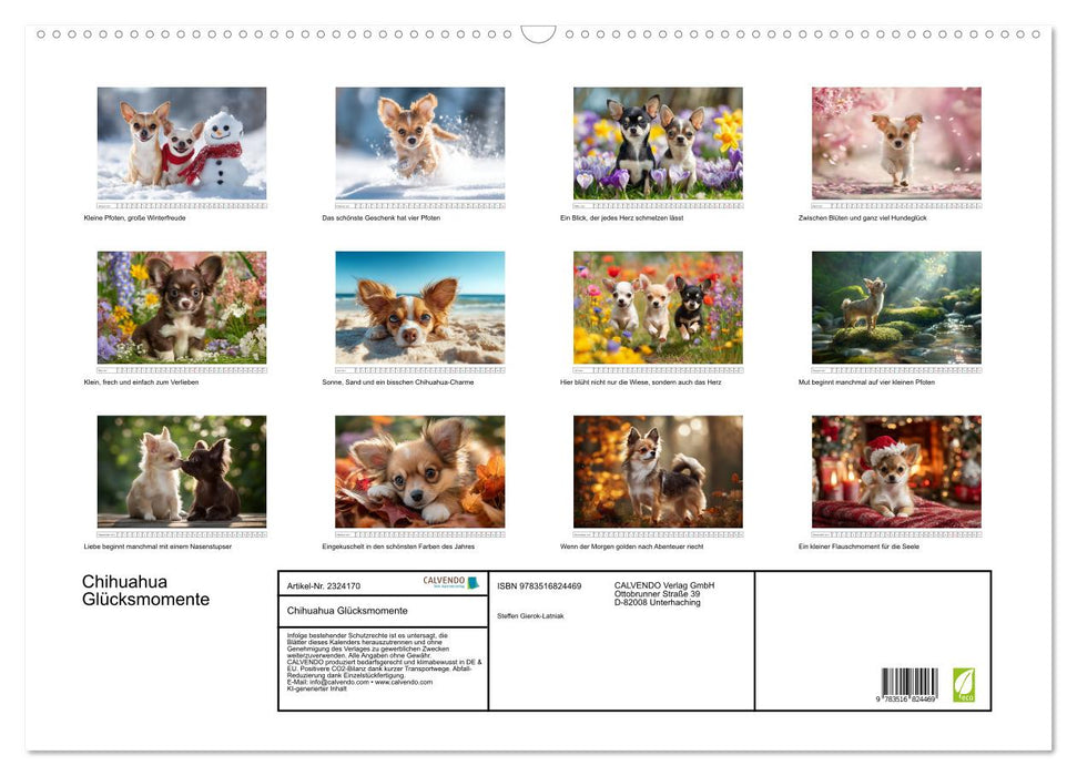 Chihuahua Glücksmomente (CALVENDO Wandkalender 2027)