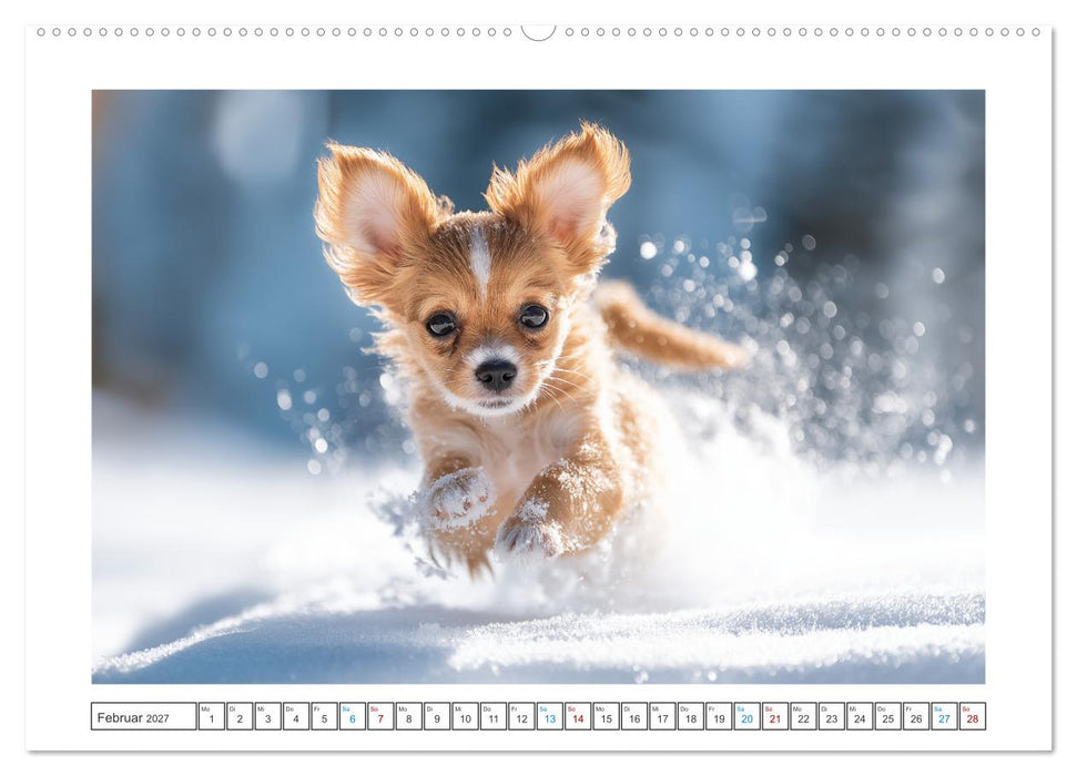 Chihuahua Glücksmomente (CALVENDO Wandkalender 2027)