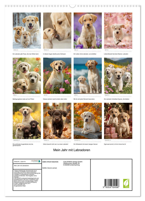 Mein Jahr mit Labradoren (CALVENDO Premium Wandkalender 2027)