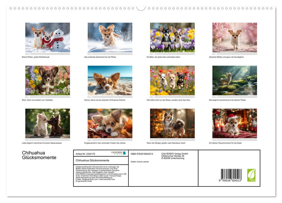 Chihuahua Glücksmomente (CALVENDO Premium Wandkalender 2027)