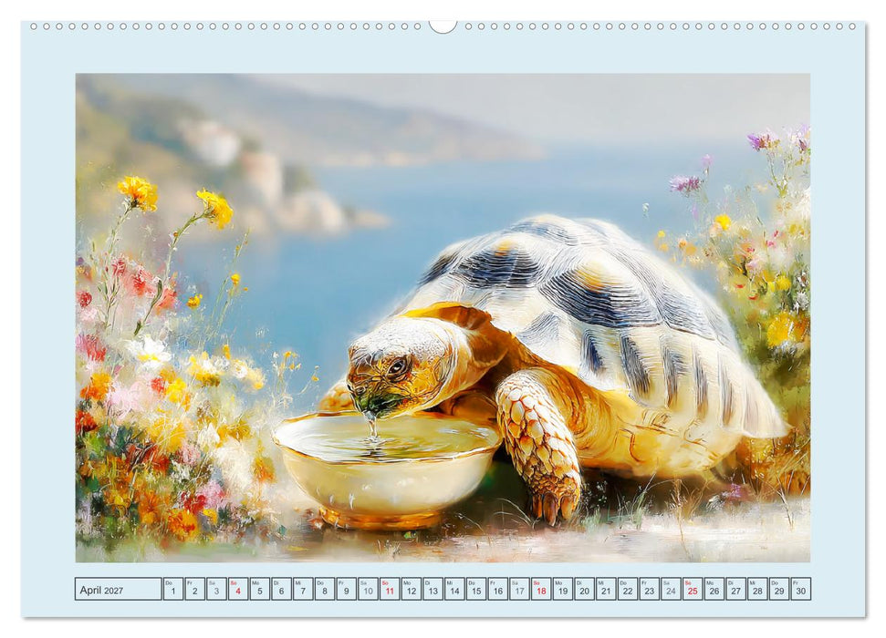 Schildkröten. Gut gepanzert und niemals in Eile (CALVENDO Wandkalender 2027)