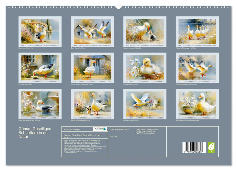 Gänse. Geselliges Schnattern in der Natur (CALVENDO Premium Wandkalender 2027)