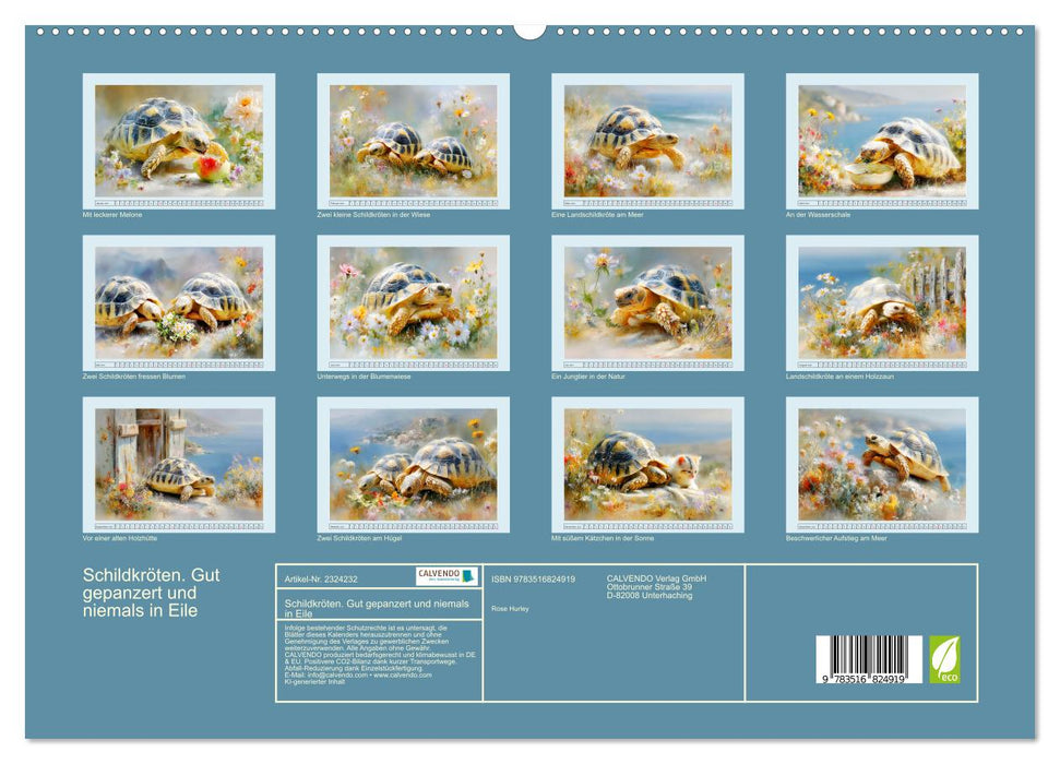 Schildkröten. Gut gepanzert und niemals in Eile (CALVENDO Premium Wandkalender 2027)
