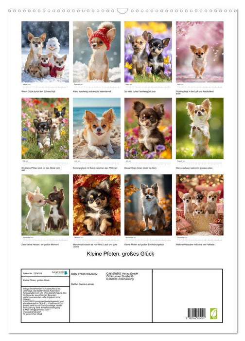 Kleine Pfoten, großes Glück (CALVENDO Wandkalender 2027)