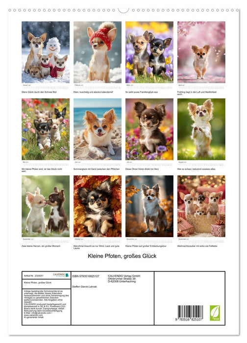 Kleine Pfoten, großes Glück (CALVENDO Premium Wandkalender 2027)