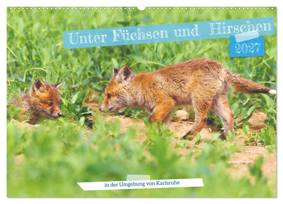 Unter Füchsen und Hirschen (CALVENDO Wandkalender 2027)