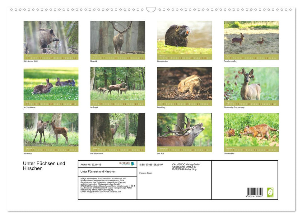 Unter Füchsen und Hirschen (CALVENDO Wandkalender 2027)