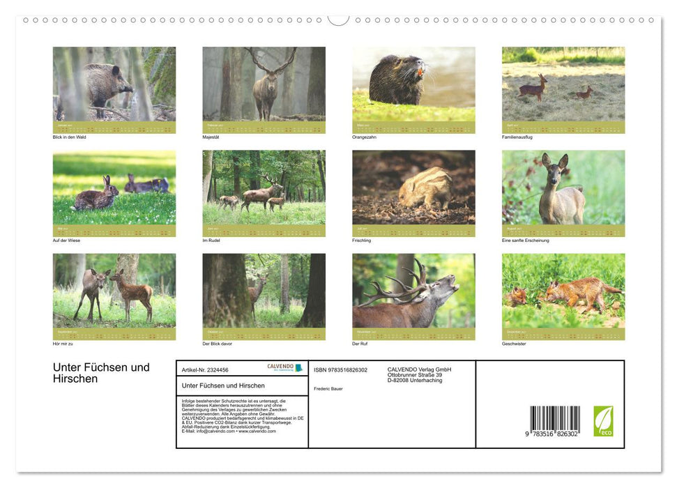 Unter Füchsen und Hirschen (CALVENDO Premium Wandkalender 2027)