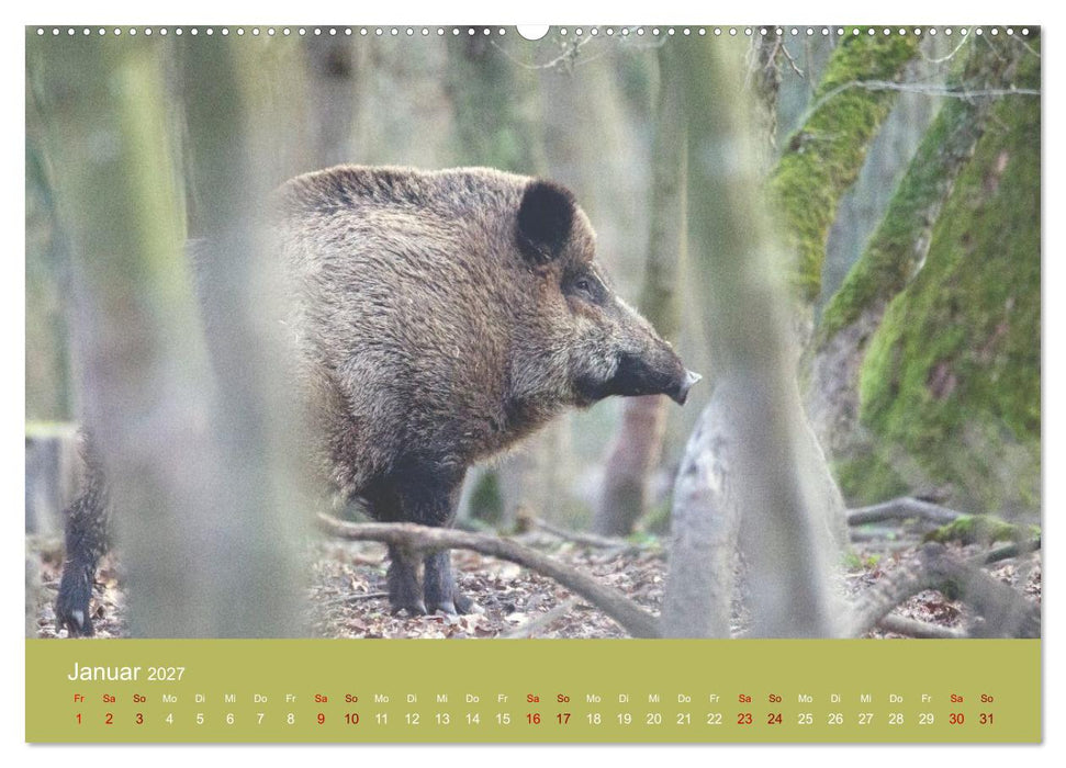Unter Füchsen und Hirschen (CALVENDO Premium Wandkalender 2027)