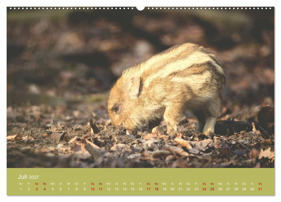 Unter Füchsen und Hirschen (CALVENDO Premium Wandkalender 2027)