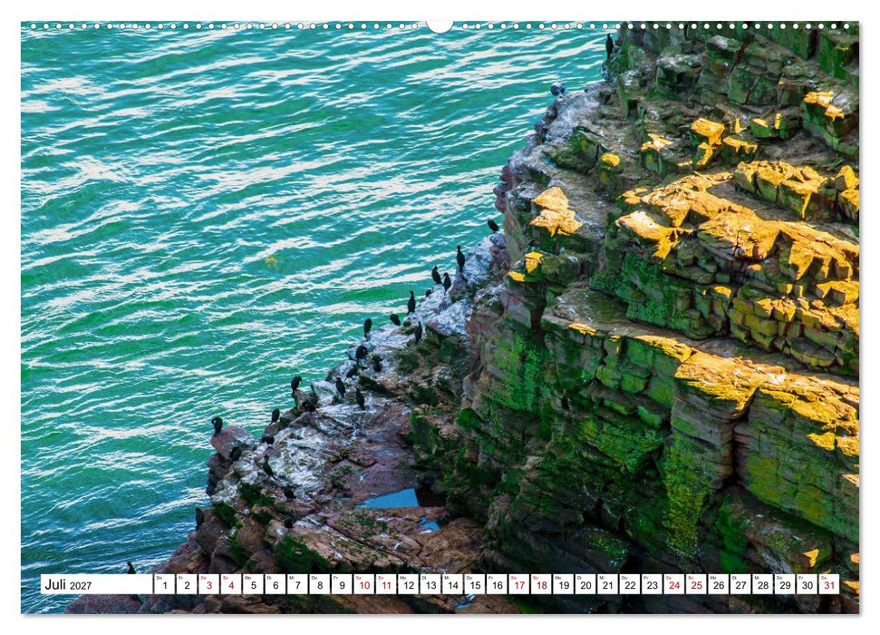 Steile Küstenfelsen, Normandie und Bretagne (CALVENDO Premium Wandkalender 2027)