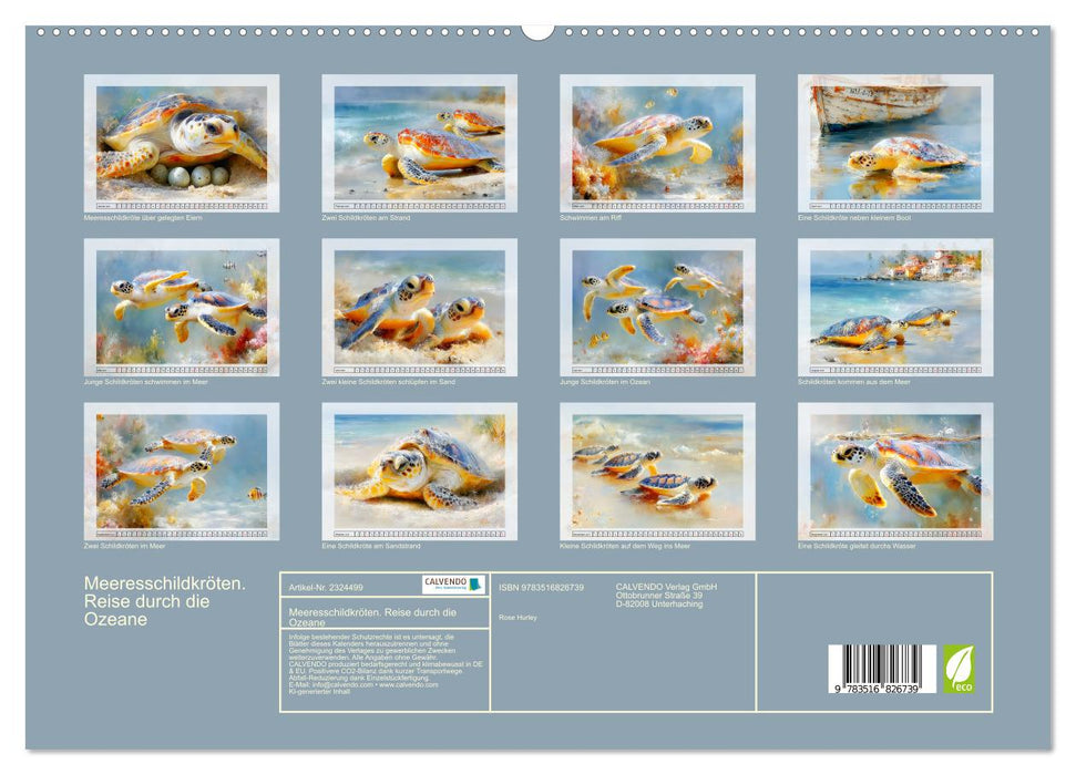 Meeresschildkröten. Reise durch die Ozeane (CALVENDO Premium Wandkalender 2027)