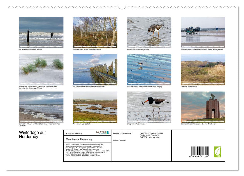 Wintertage auf Norderney (CALVENDO Premium Wandkalender 2027)