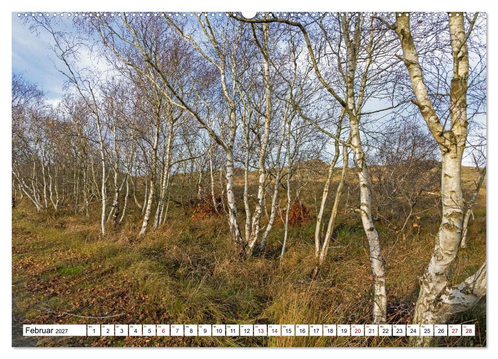 Wintertage auf Norderney (CALVENDO Premium Wandkalender 2027)