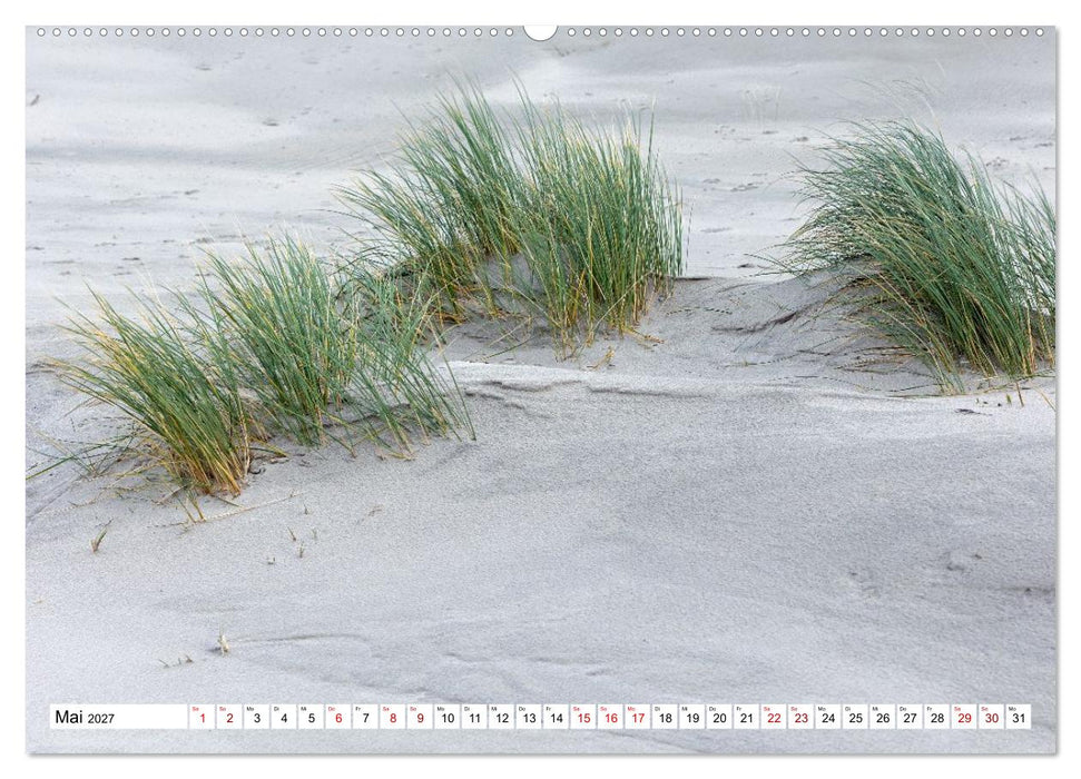 Wintertage auf Norderney (CALVENDO Premium Wandkalender 2027)