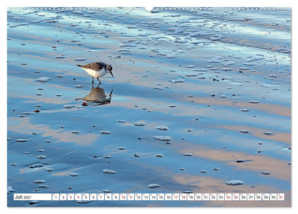 Wintertage auf Norderney (CALVENDO Premium Wandkalender 2027)