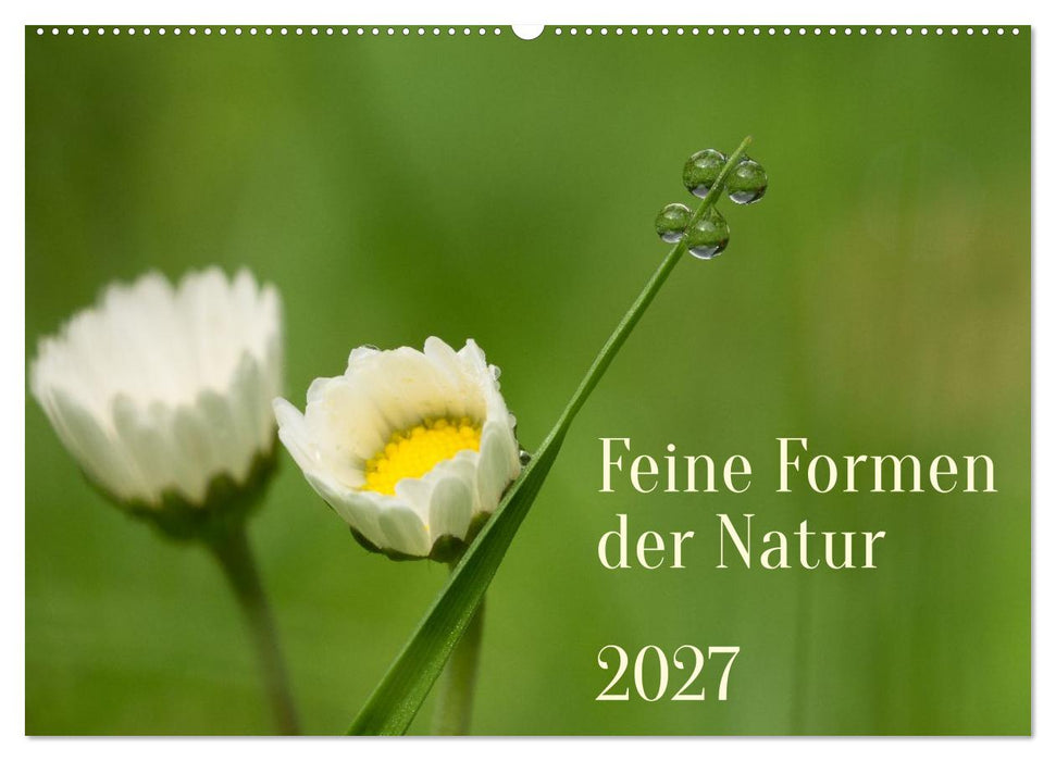 Feine Formen der Natur (CALVENDO Wandkalender 2027)