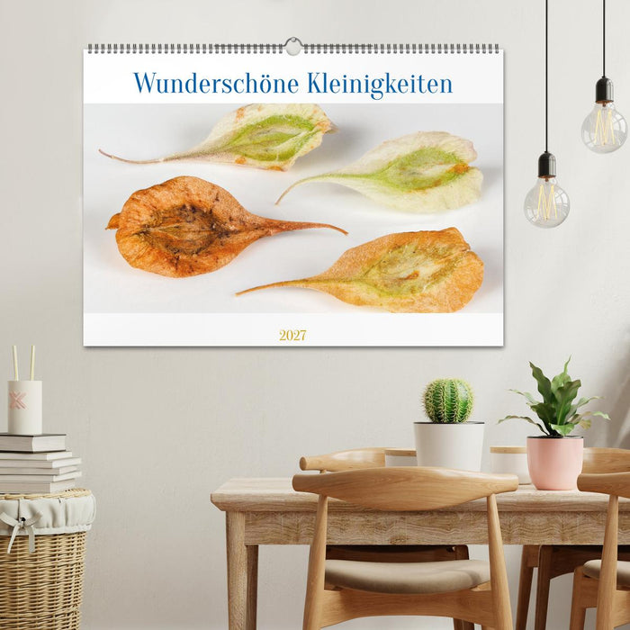 Wunderschöne Kleinigkeiten (CALVENDO Wandkalender 2027)