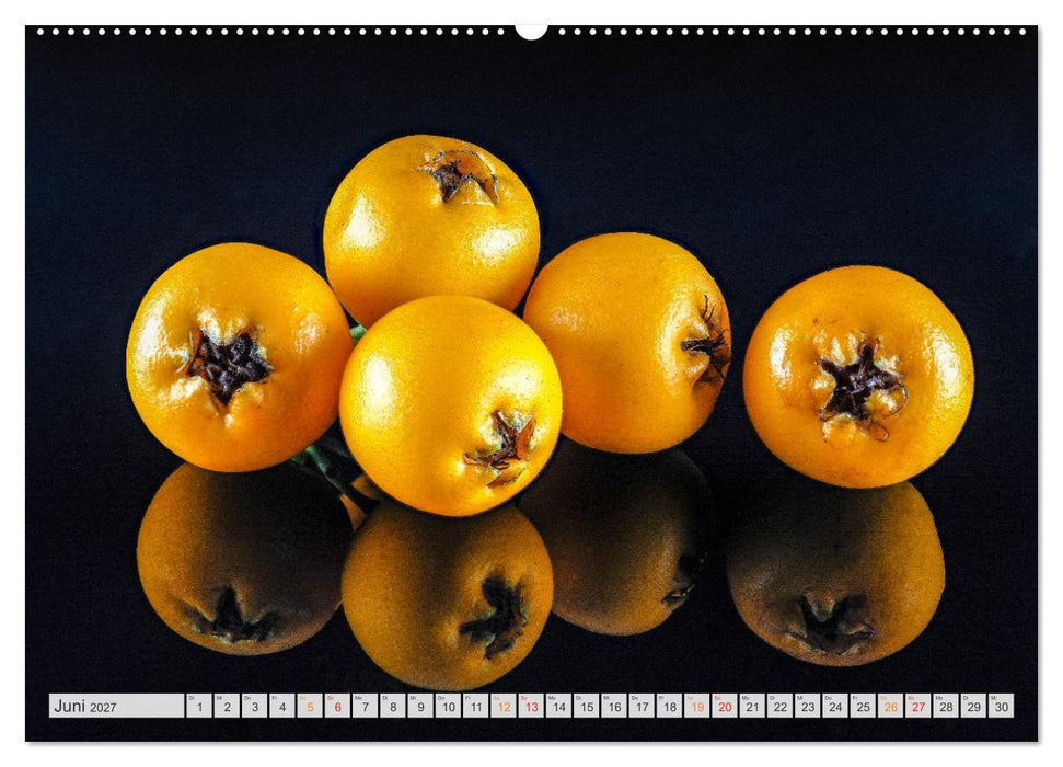 Zauber der kleinen Dinge (CALVENDO Wandkalender 2027)