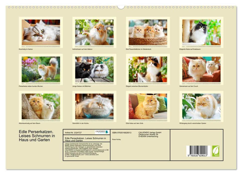 Edle Perserkatzen. Leises Schnurren in Haus und Garten (CALVENDO Premium Wandkalender 2027)