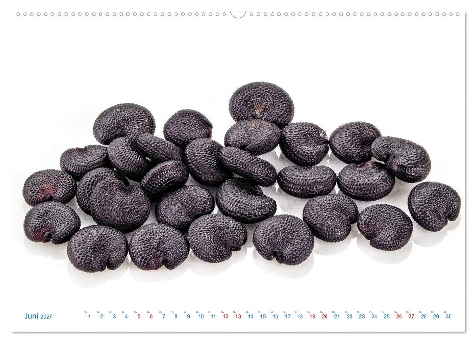 Wunderschöne Kleinigkeiten (CALVENDO Premium Wandkalender 2027)