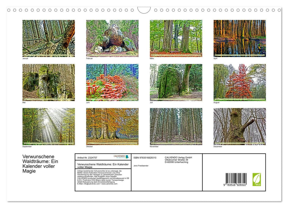 Verwunschene Waldträume: Ein Kalender voller Magie (CALVENDO Wandkalender 2027)