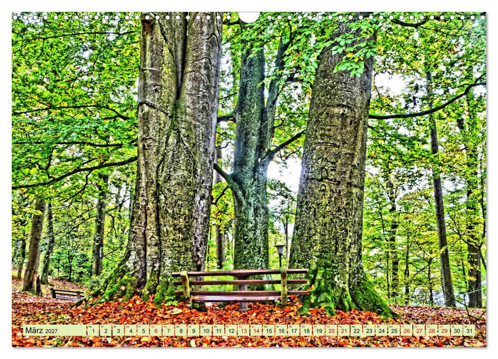 Verwunschene Waldträume: Ein Kalender voller Magie (CALVENDO Wandkalender 2027)
