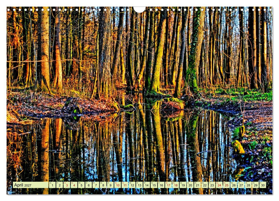 Verwunschene Waldträume: Ein Kalender voller Magie (CALVENDO Wandkalender 2027)