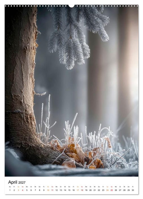 Wintermomente - Natur im weißen Kleid (CALVENDO Wandkalender 2027)