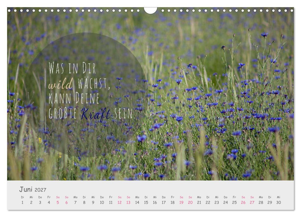 Sanfte Blüten – leise Worte (CALVENDO Wandkalender 2027)