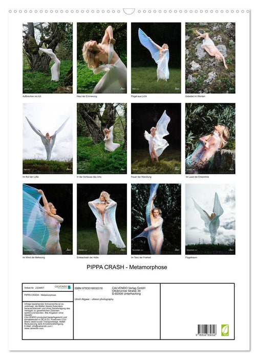 PIPPA CRASH - Metamorphose (CALVENDO Wandkalender 2027)