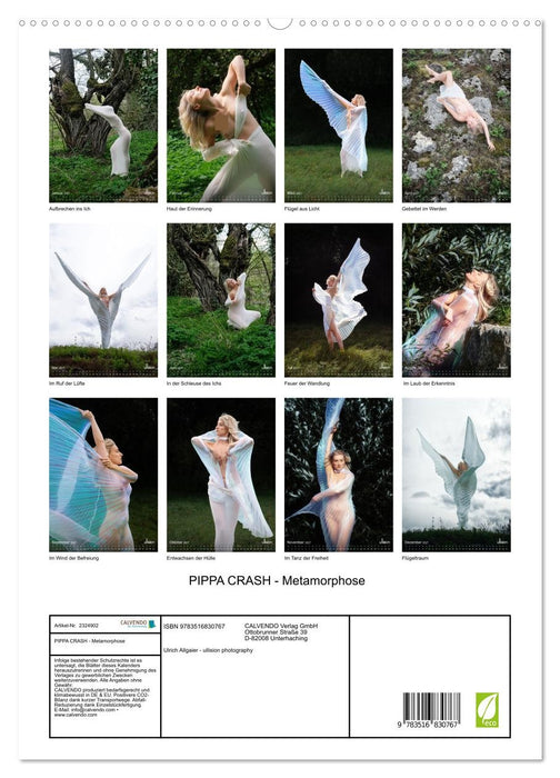 PIPPA CRASH - Metamorphose (CALVENDO Premium Wandkalender 2027)