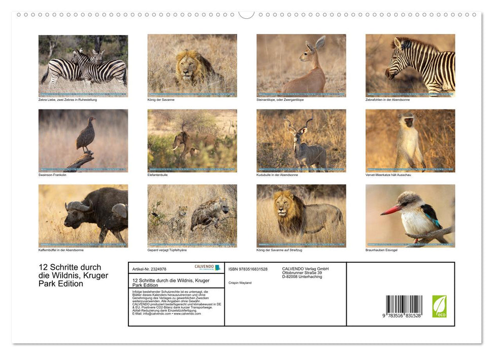 12 Schritte durch die Wildnis, Kruger Park Edition (CALVENDO Premium Wandkalender 2027)