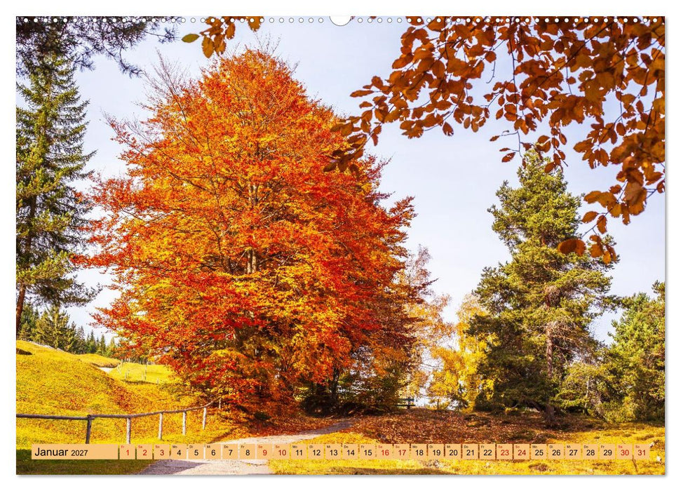 Das Element Holz - Ein Sinnbild (CALVENDO Premium Wandkalender 2027)