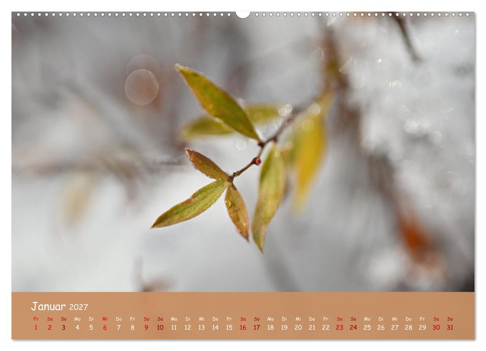 Der Zauber steckt immer im Detail (CALVENDO Wandkalender 2027)