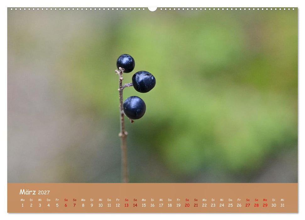 Der Zauber steckt immer im Detail (CALVENDO Wandkalender 2027)