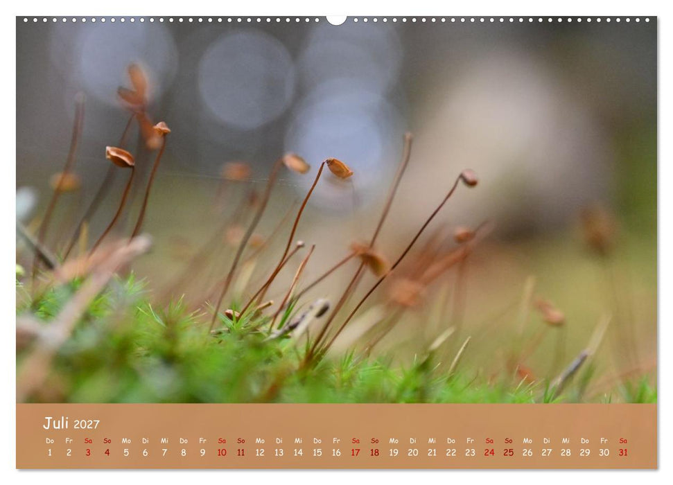 Der Zauber steckt immer im Detail (CALVENDO Premium Wandkalender 2027)
