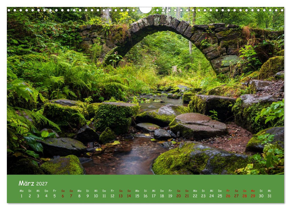Wasserträume im Schwarzwald (CALVENDO Wandkalender 2027)